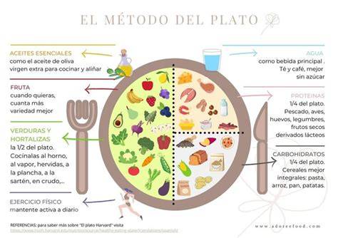 Ejemplo visual del método del plato con proporciones de verduras, proteínas e hidratos de carbono