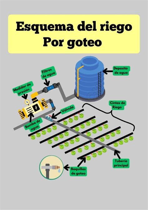 Esquema de sistema de riego por goteo para pimientos