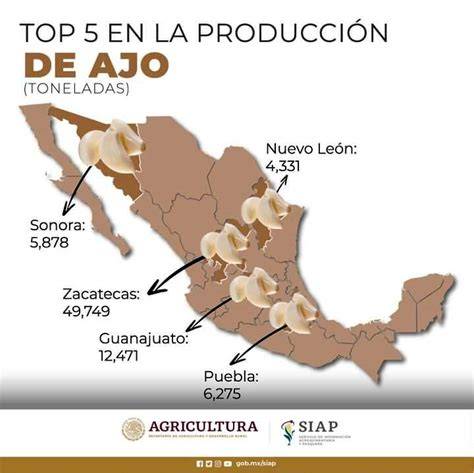 Mapa de uso del ajo en la gastronomía mundial