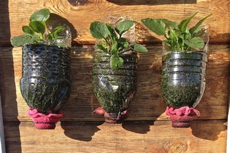 Ideas creativas para reutilizar tarros de vidrio