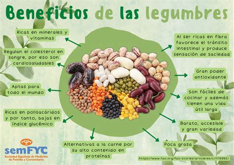 Infografía: Beneficios de las legumbres para la salud infantil