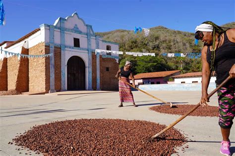 Mujeres de Chuao secando cacao al sol en la plaza del pueblo