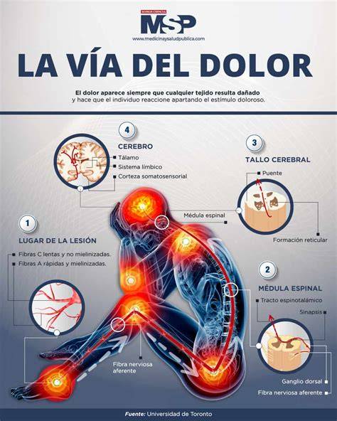 Infografía sobre el dolor del desamor
