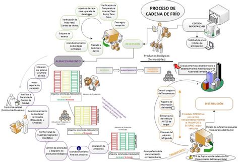 Proceso de envío de croquetas manteniendo la cadena de frío