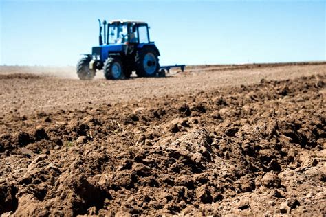 Preparación del terreno para la siembra de patatas
