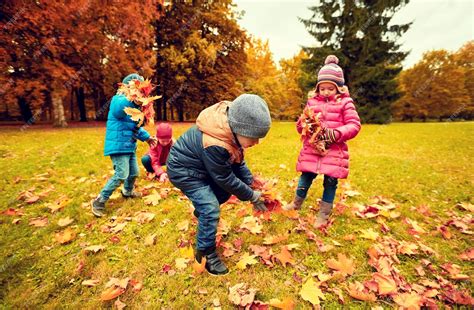 Niño recogiendo hojas de otoño en un bosque