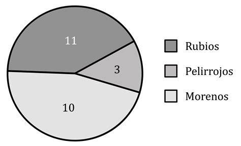 Gráfico de sectores empresariales en Murcia