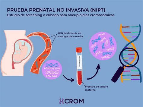 Diagrama de flujo de las pruebas de cribado prenatal