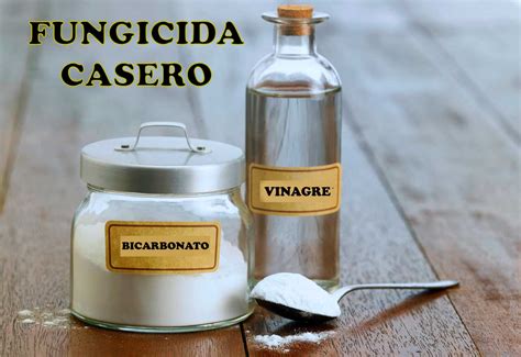Kit casero para hacer vinagre