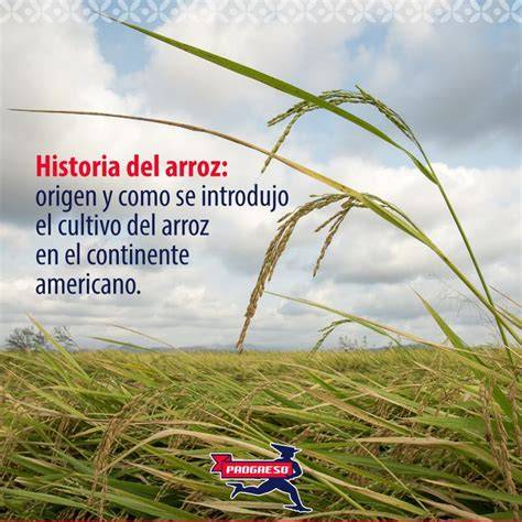 Historia del arroz en el País Vasco