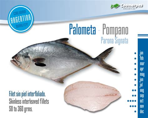 Palometa entera y troceada