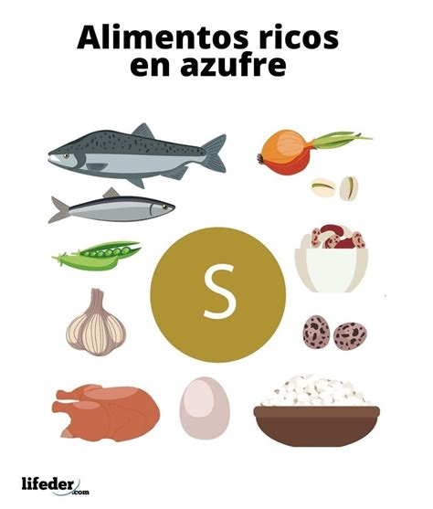 Variedad de alimentos que contienen azufre