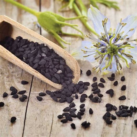 Cuchara con semillas de comino negro