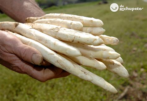 Fideuá de espárragos verdes y blancos
