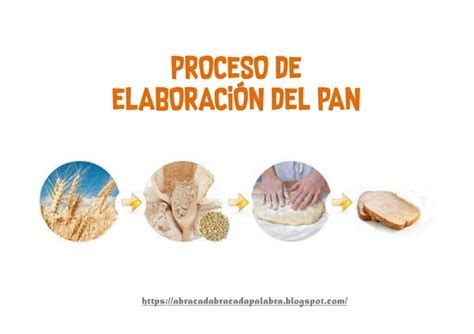 Esquema de las etapas de elaboración de pan con masa fermentada.