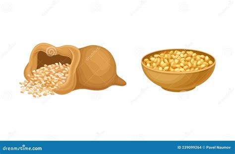 Ilustración de granos de trigo y cebada