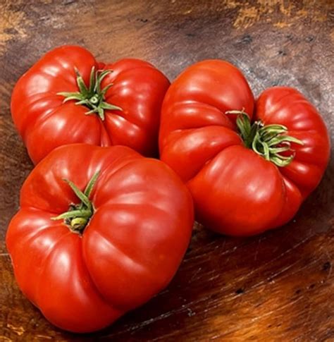 Tomates gigantes de color rosa