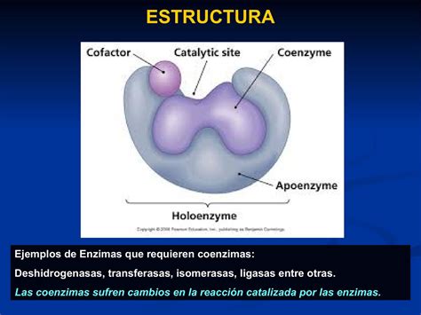 Estructura de la enzima prolil-endopeptidasa (PEP)