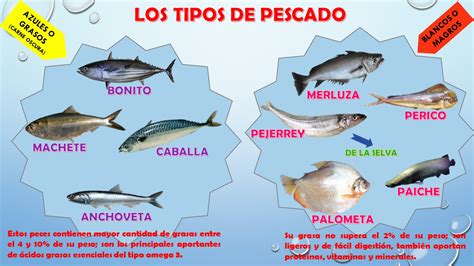 Diferentes tipos de pescado preparados para la barbacoa