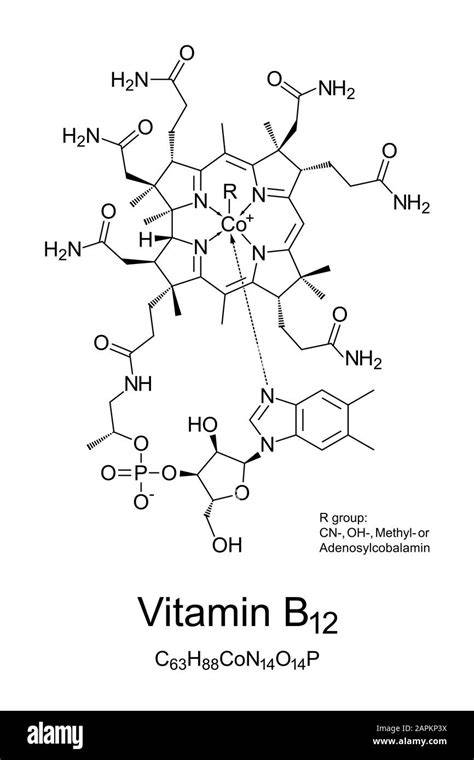 Estructura de la vitamina B12 (cobalamina)