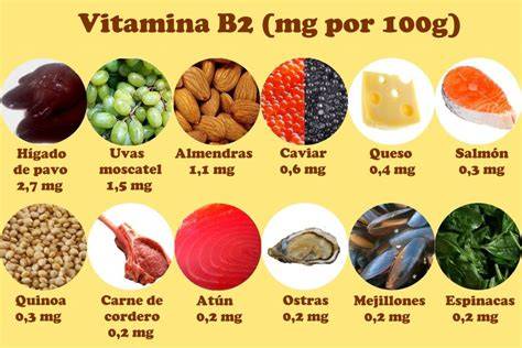 Alimentos ricos en vitamina B12