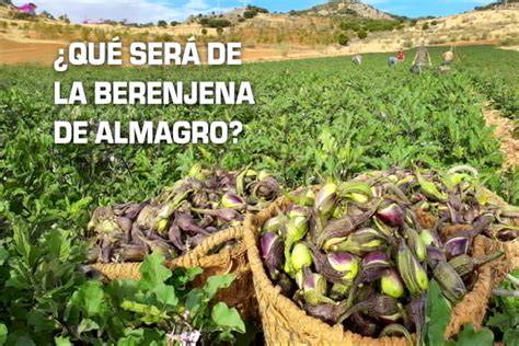 Mapa de la Ruta de la Berenjena de Almagro por Campo de Calatrava