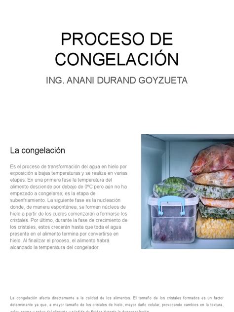 Proceso de congelación del pan