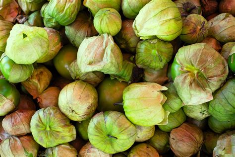Cocción de calabaza y tomatillos