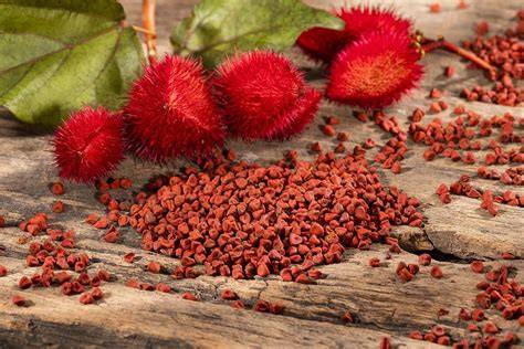 Semillas de achiote