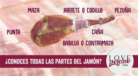 Esquema de las partes del jamón