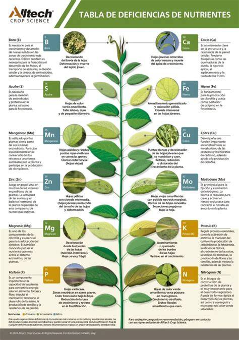 Tabla de deficiencias nutricionales y sus síntomas en terneros
