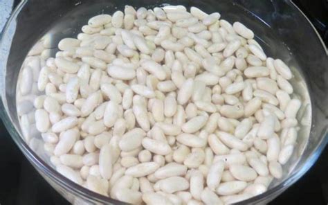 Alubias blancas en remojo con bicarbonato