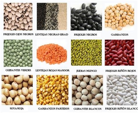 Variedades de legumbres y sus aportes proteicos