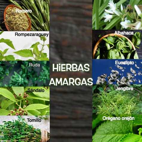 Variedad de hierbas amargas para baños de despojo