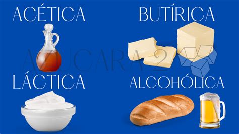 Infografía sobre los tipos de fermentación