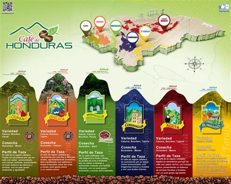 Mapa de regiones cafetaleras con métodos de fermentación