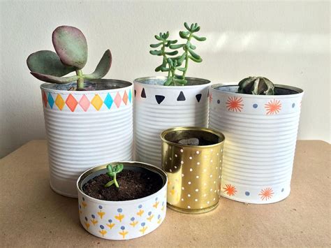 Maceteros hechos con latas de galletas y cortezas de árbol