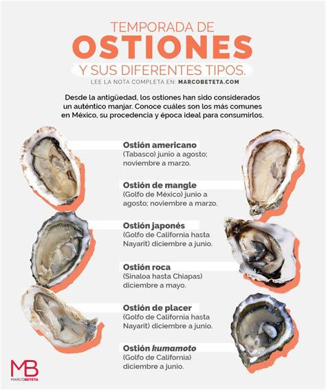 Diferentes tipos de ostiones y sus características