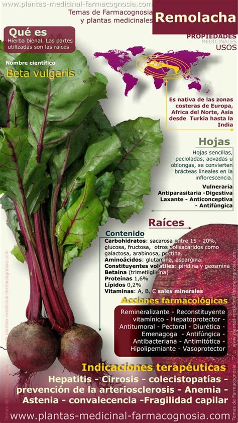 Infografía sobre los beneficios de la remolacha
