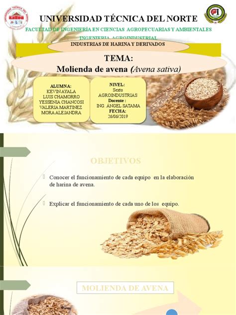 Proceso de molienda de avena