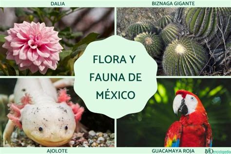 Diversidad de flora y fauna en la charca de Pino del Río