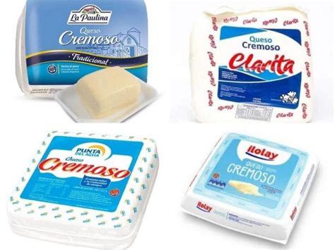 Tipos de queso cremoso
