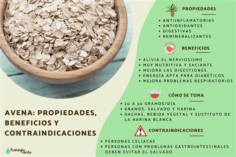Infografía sobre los beneficios de la avena