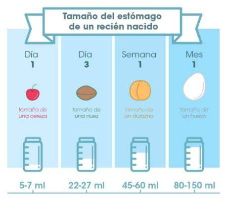 Tamaño del estómago del bebé por edad