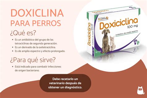 Etiquetas de advertencia para el uso de doxiciclina en animales