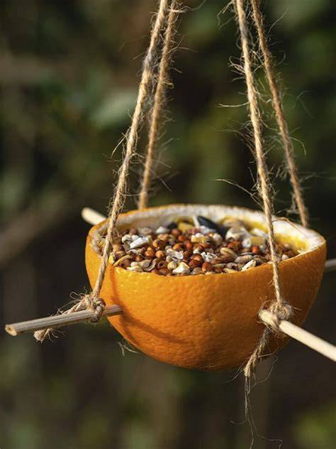 Comedero para pájaros hecho con media cáscara de naranja