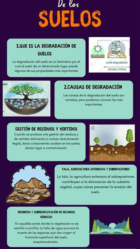 Esquema de los tipos de degradación del suelo