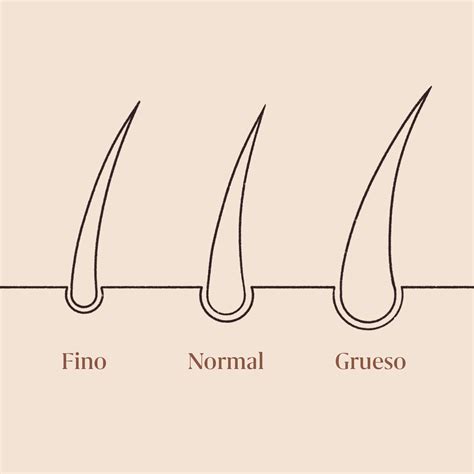 Munchos originales y evolución de su grosor