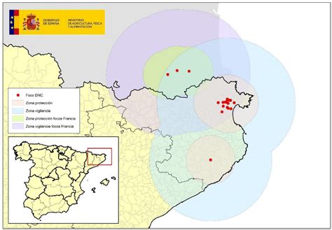 Mapa de la provincia de Girona con los focos de Dermatosis Nodular Contagiosa