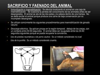 Inmovilización y sacrificio de ganado bovino por DNC